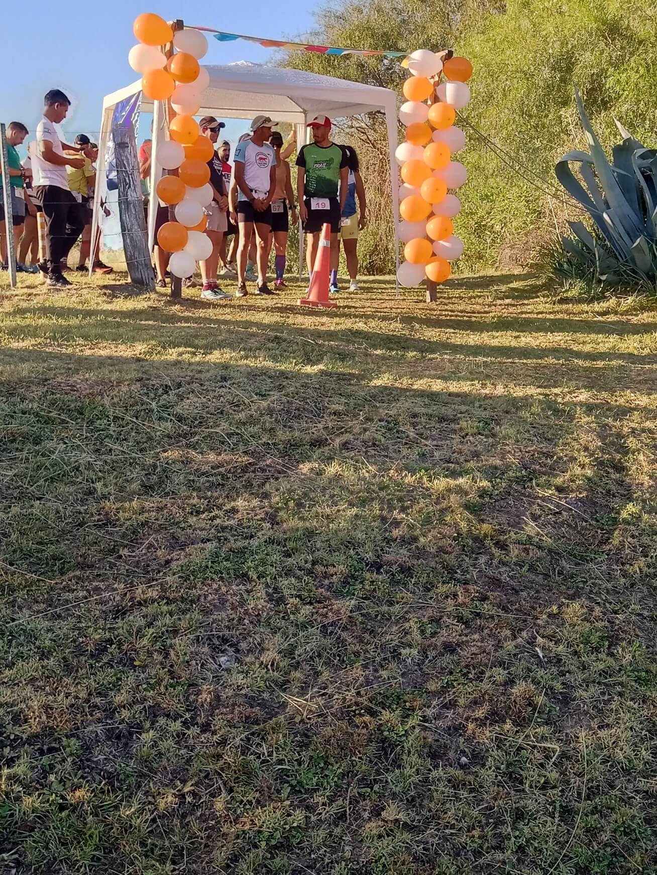 Podio Yaguarundi